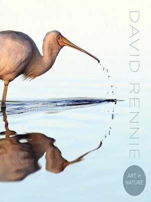 Art in Nature - ebook